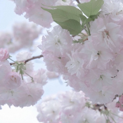 Furry圈创作干货兽圈群